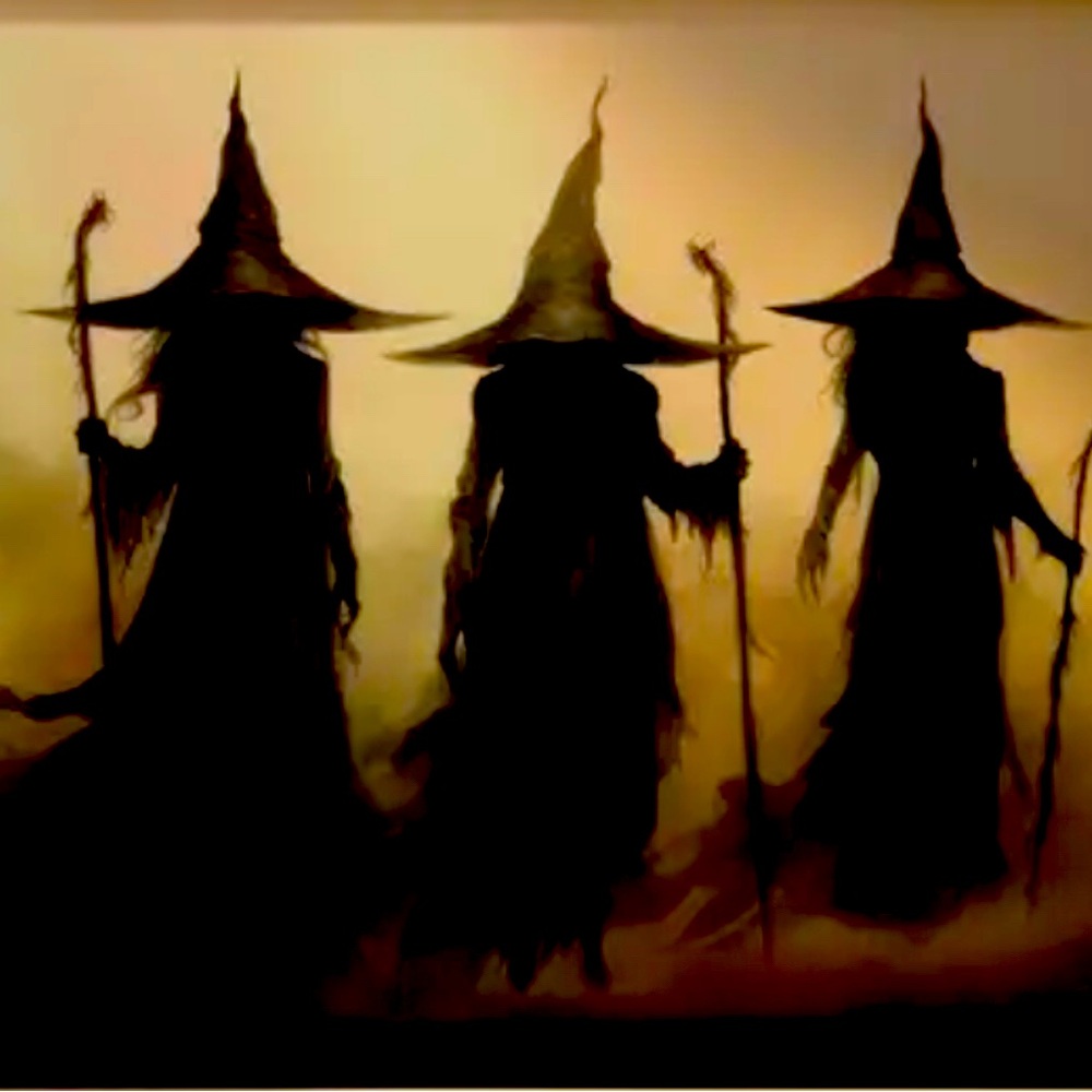 Meet your Posher, JanNae’